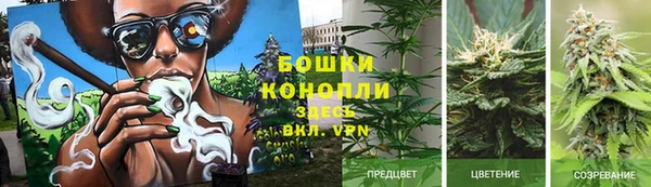 наркотики Алексеевка