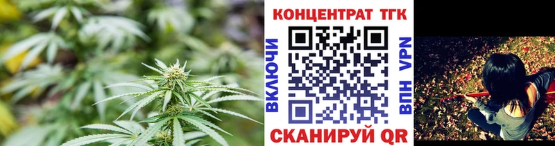 как найти закладки  Железногорск-Илимский  ТГК концентрат 