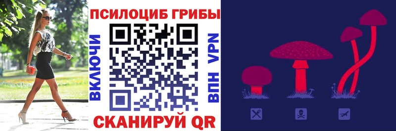Галлюциногенные грибы Psilocybine cubensis Железногорск-Илимский